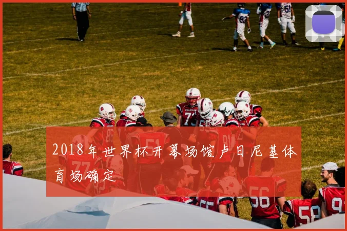 2018年世界杯开幕场馆卢日尼基体育场确定